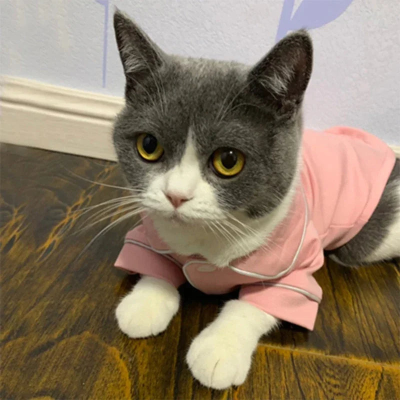 Christmas Sphynx Cat Hoodie Suit