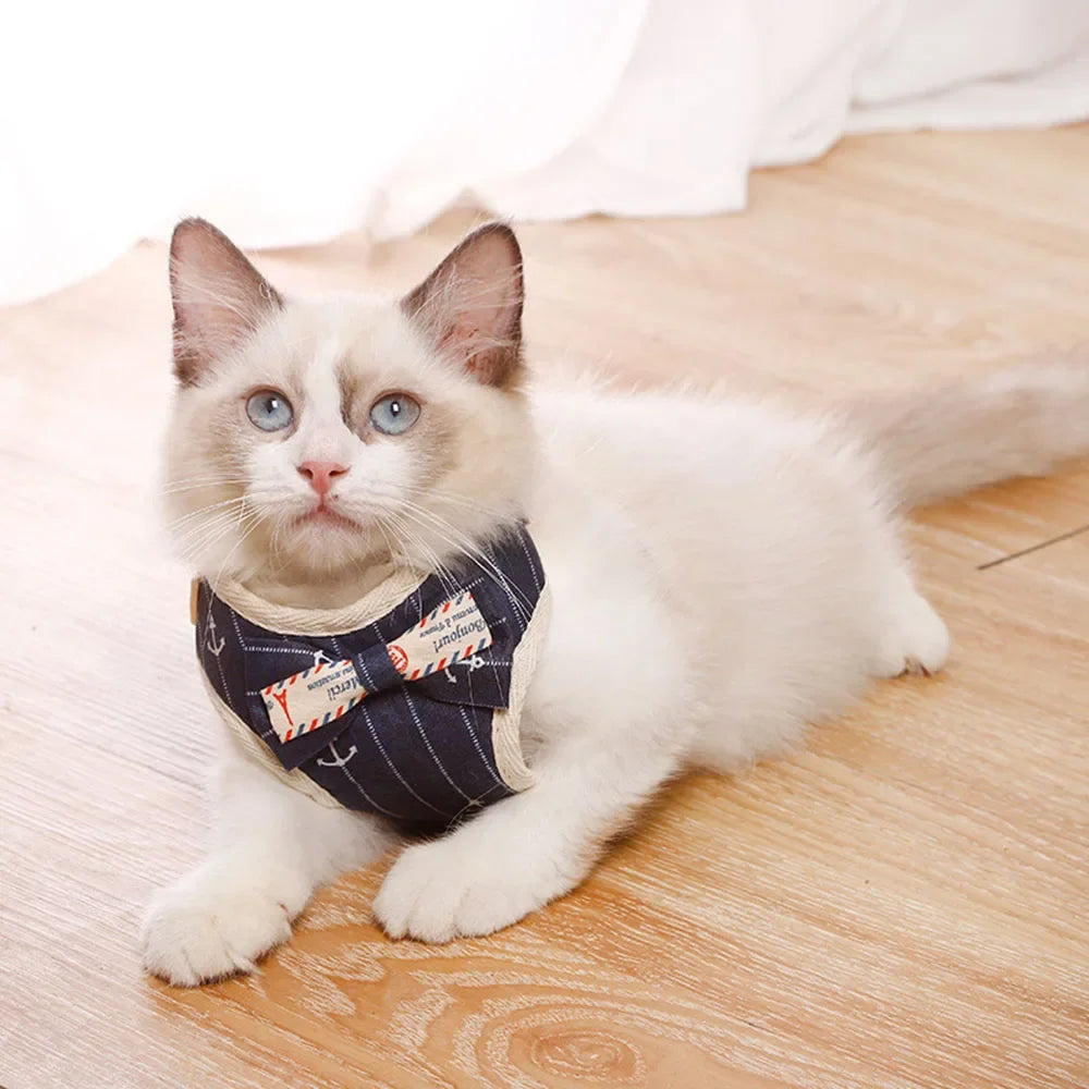 Padded Mesh Harness Set