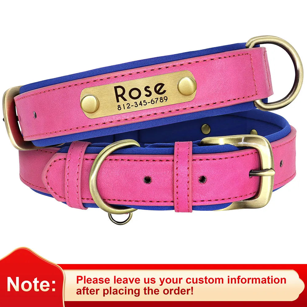 Engraved Padded Leather Collar