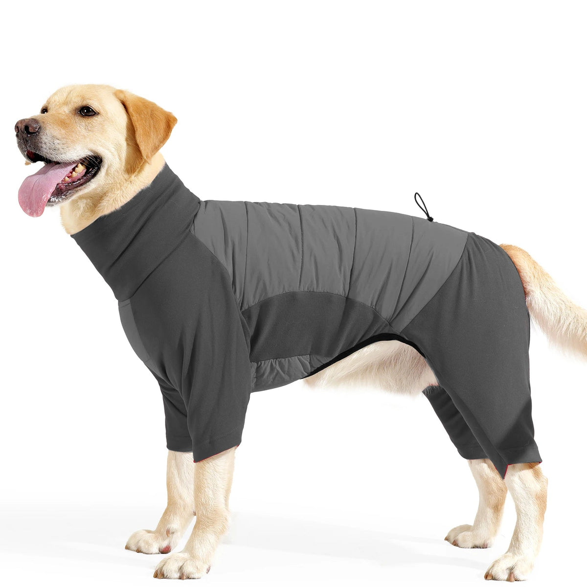 Windproof Fullbody Dog Snowsuit