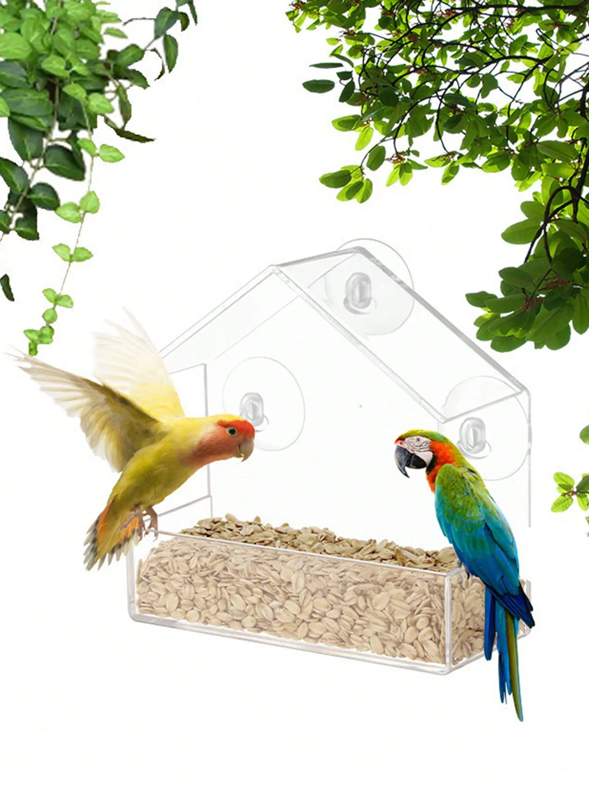 Acrylic Window Bird Feeder