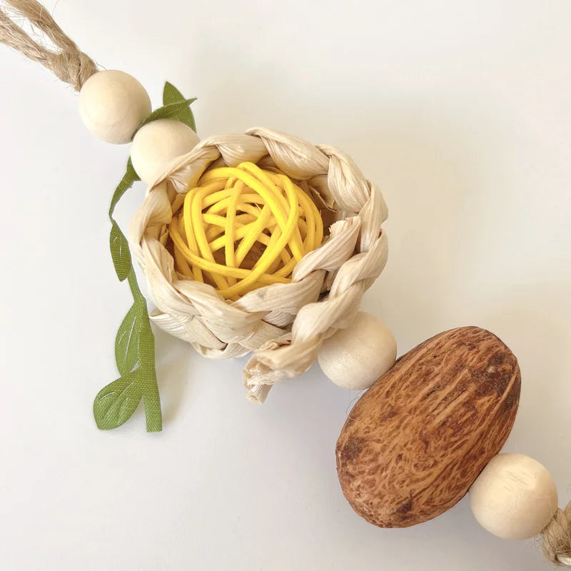 Pinecone Rope Chew Toy