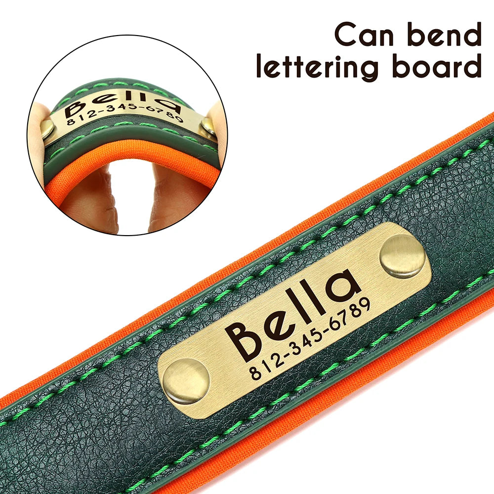 Engraved Padded Leather Collar