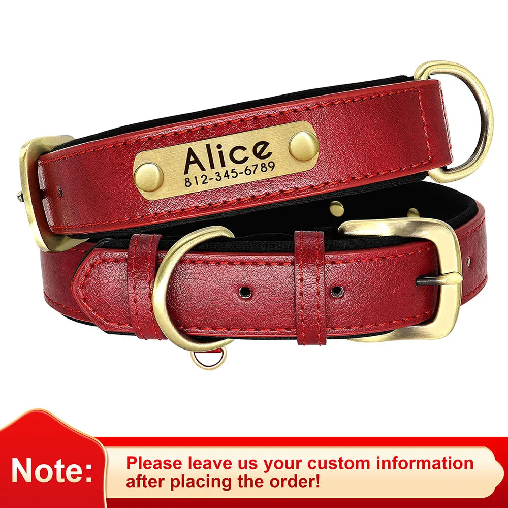 Engraved Padded Leather Collar