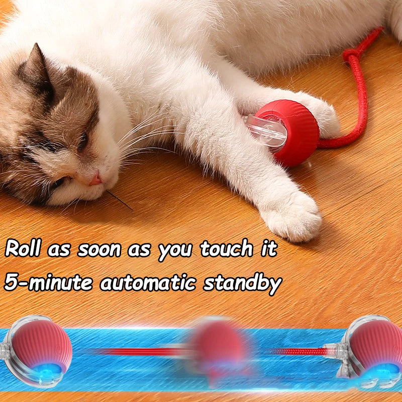 Rechargeable Rolling Tail Ball